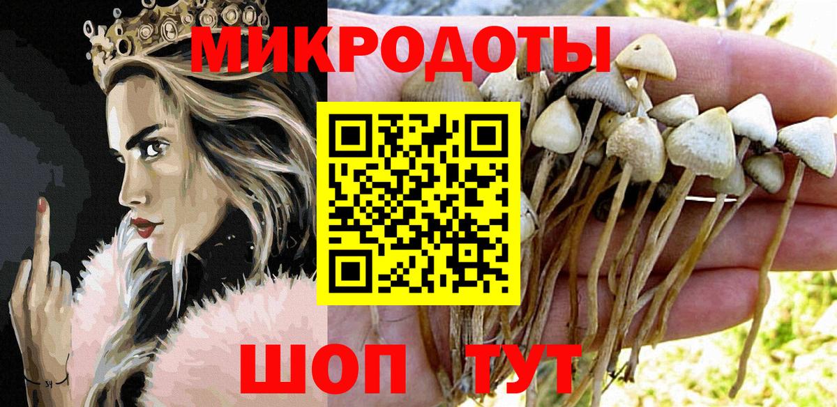 Псилоцибиновые грибы GOLDEN TEACHER Балашиха