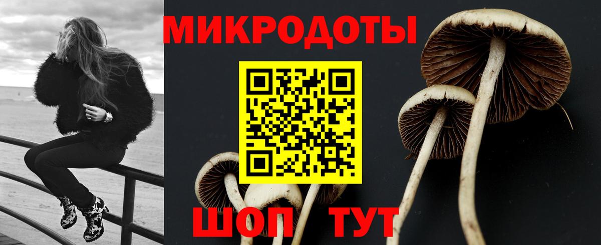 Балашиха  Галлюциногенные грибы прущие грибы  Вход с VPN 